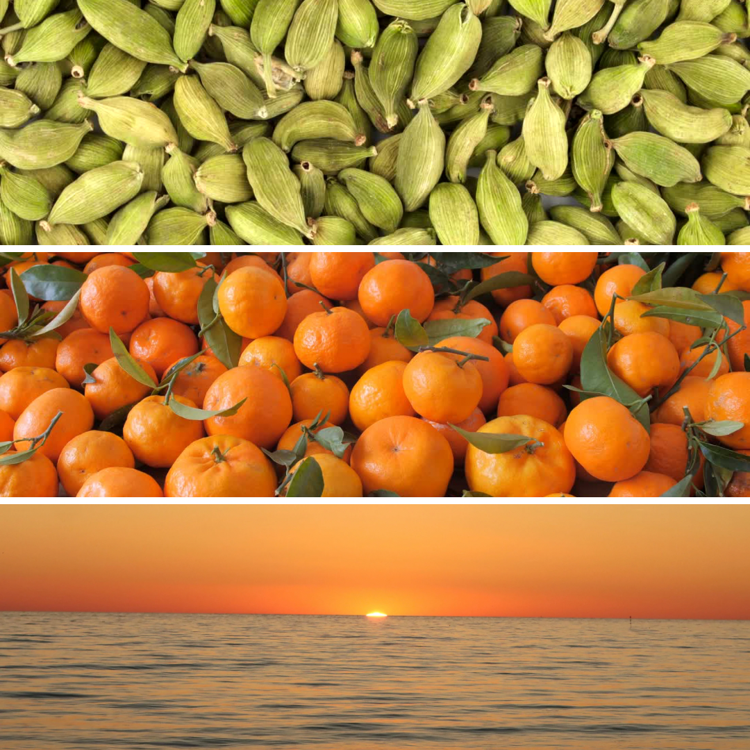 Mandarine Solaire – Image 3